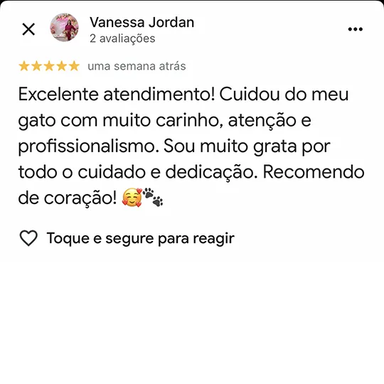 Avaliação de tutora no Google